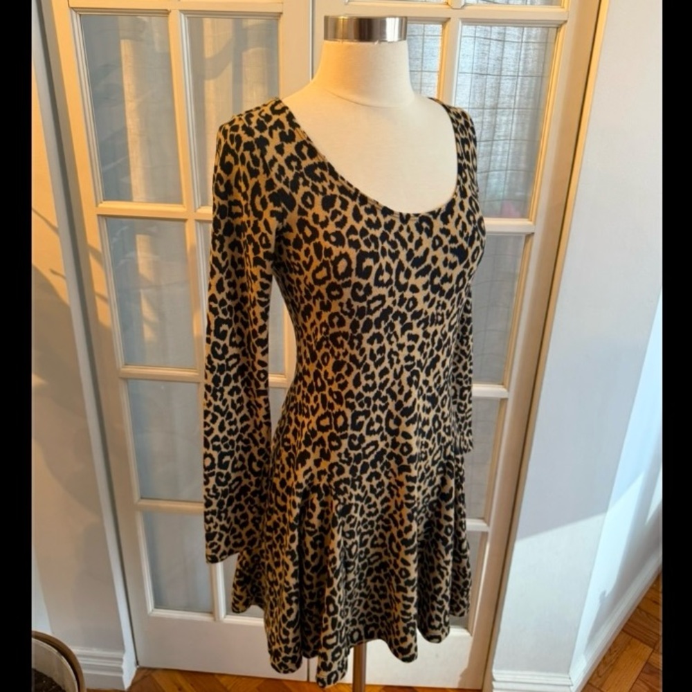 Leopard Print Long Sleeve Dress